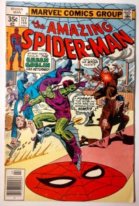 The Amazing Spider-Man #177 (7.0, 1978) 