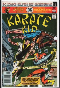 Karate Kid #3 (1976) Karate Kid