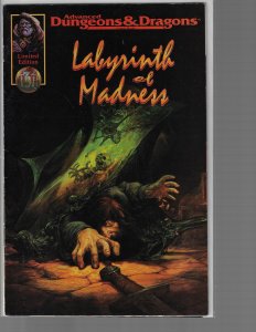 Advanced Dungeons & Dragons: Labyrinth of Madness (TSR, 1996)