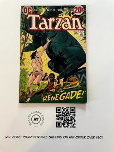 Tarzan # 216 FN/VF DC Comic Book Joe Kubert E. Rice Burroughs 17 J884