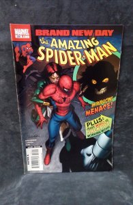 The Amazing Spider-Man #550 (2008)