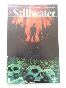 Stillwater #1 Variant W/ COA NM- Condition!