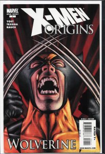 X-Men Origins: Wolverine (2009) Wolverine