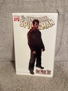 The Sensational Spider-Man #41 White Cover (2007)