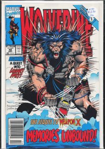 Wolverine #48 (1991) Wolverine [Key Issue]