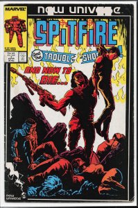 Spitfire and the Troubleshooters #7 Direct Edition (1987) Steel Hawk
