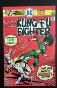 Richard Dragon, Kung Fu Fighter #5 (1976)