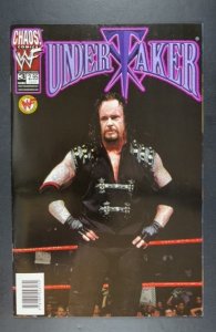 Undertaker #3 Variant Cover (1999)