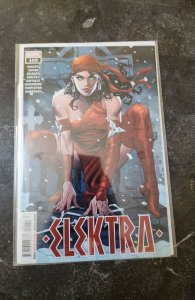 Elektra #100 (2022)