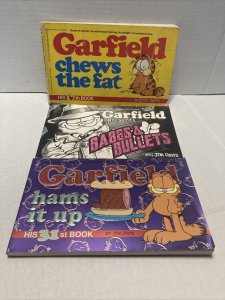 Garfield Comic Book Collection  Lot Of 14 (2064)