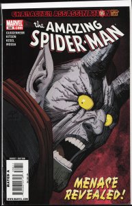 The Amazing Spider-Man #586 (2009)
