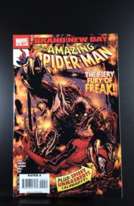 The Amazing Spider-Man #554 (2008)