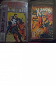 Mixed Lot of 2 Comics (See Description) Punisher, X Men
