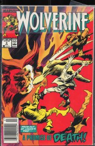 Wolverine #9 (1989) Wolverine