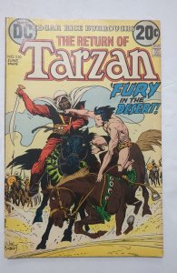 Edgar Rice Burroughs' Tarzan #220 (1973) FN+ 6.5 Joe Kubert cover