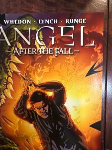 Angel #11