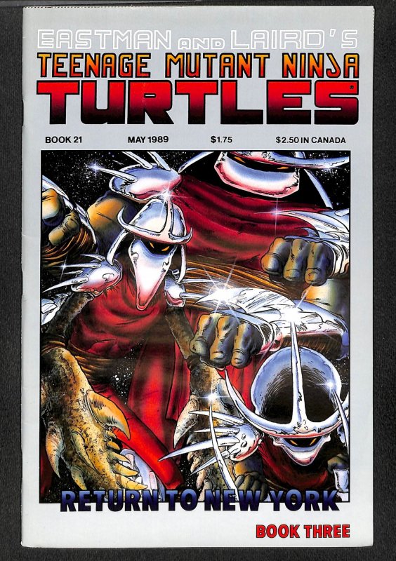 Teenage Mutant Ninja Turtles #21
