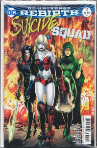 Suicide Squad #13 Variant Cover (2017) Suicide Squad