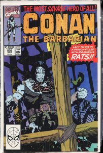 Conan the Barbarian #236 (1990) Conan