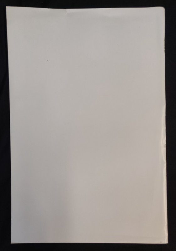 Lady Death + Vampirella 12 x 18 Art Print by Lanio Sena 1/10 (2017)