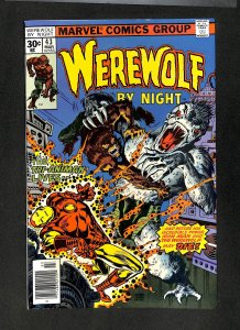 Werewolf By Night #43