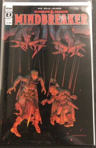 Dungeons & Dragons: Mindbreaker #2 Cover B (2021)