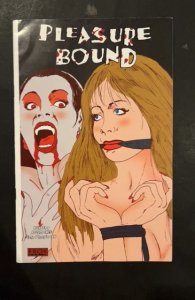 Pleasure Bound #9 (2002) VG Eros Comix Sexy Adult BDSM