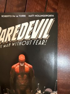 Daredevil #502 (2010)