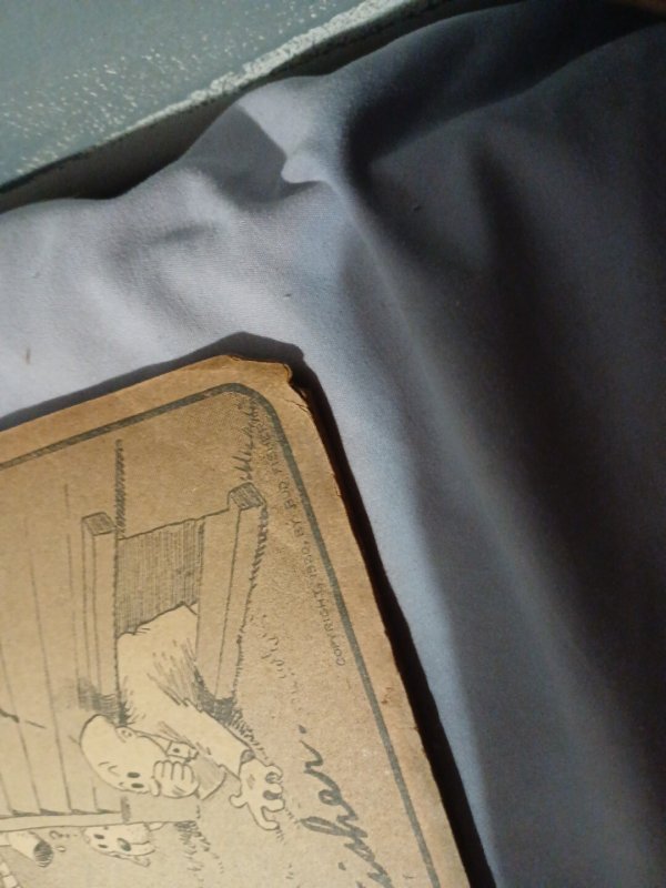 1921 ADVENTURES OF MUTT AND JEFF  Bud Fisher - Cupples & Leon Large Platinum Age
