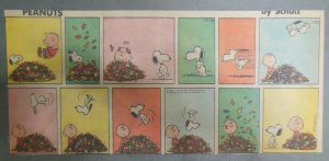 Peanuts Sunday Page by Charles Schulz from 10/16/1966 Size: ~7.5 x 15 inches CT