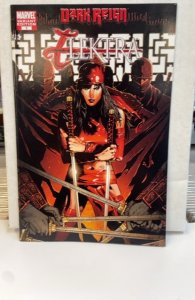 Dark Reign: Elektra #1 Variant Cover (2009)