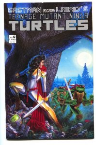 Teenage Mutant Ninja Turtles #13  1988 - Mirage  -VF - Comic Book