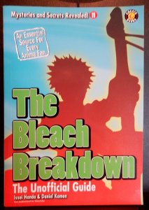 The Bleach Breakdown The Unofficial Guide Mysteries and Secrets Revealed 11