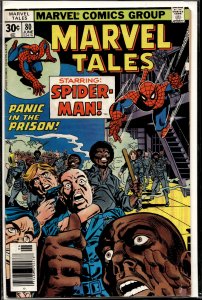 Marvel Tales #80 (1977) Spider-Man