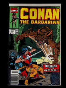 Conan the Barbarian #231,232,233,234,235,236,237,243,244,245 (1990)