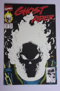 Ghost Rider #15 (1991) Ghost Rider NM