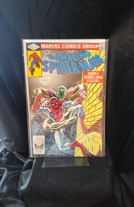 The Amazing Spider-Man #231 Direct Edition (1982) Spider-Man 