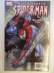 PETER PARKER SPIDER-MAN VOL II # 56