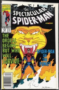 The Spectacular Spider-Man #171 (1990) Spider-Man
