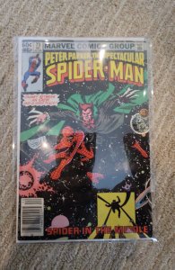 The Spectacular Spider-Man #73 (1982)