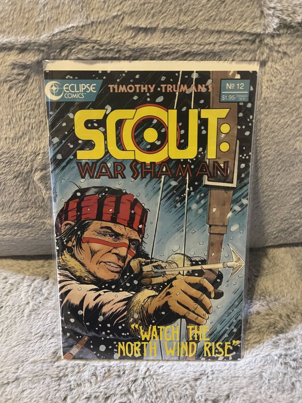 Scout: War Shaman #12  (1989)
