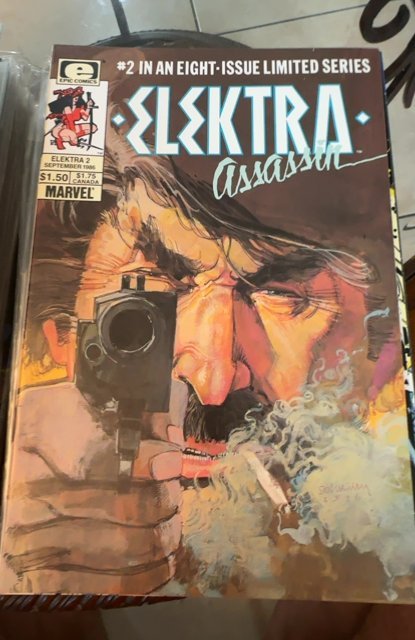 Elektra: Assassin #2 (1986) Elektra 