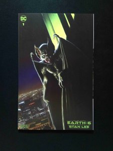 Tales from Earth-6 a Celebration of Stan Lee #1B  DC 2023 NM+   Beach Variant