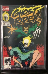 Ghost Rider #7 (1990)