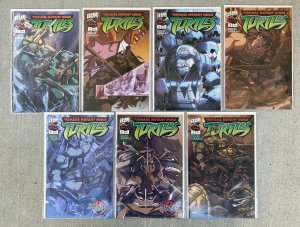 Teenage Mutant Ninja Turtles #1-7( Dream Wave) Full Series - 2003