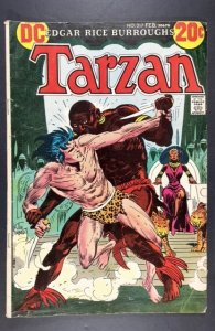 Edgar Rice Burroughs' Tarzan #217 (1973)