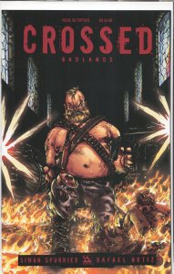 Crossed Badlands #38 Torture Variant Cover by Rafael Ortiz (2013)