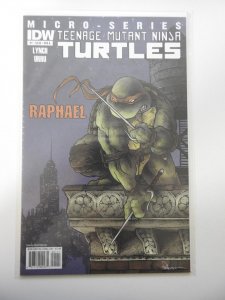 Teenage Mutant Ninja Turtles Micro-Series #1 Cover A (2011)