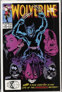 Wolverine #31 (1990) Wolverine