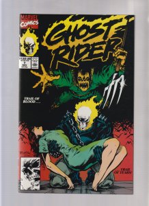 Ghost Rider #7 - Trail of Tears (VF/NM) 1990